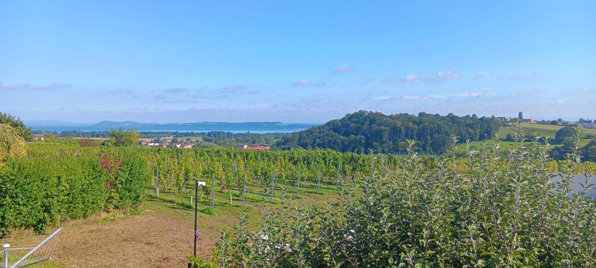 Villa De Charme Elegante, Calme, Nature Boudry 외부 사진